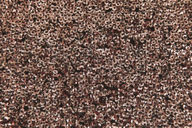 Cut pile carpets