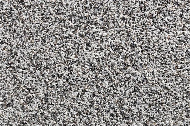 Loop pile carpet