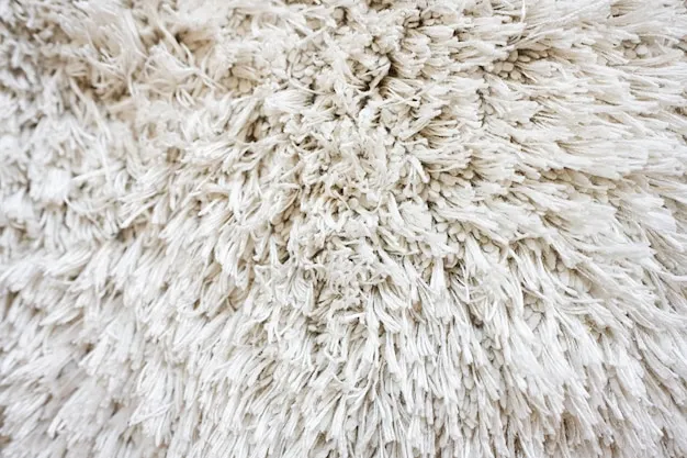 Wool Rugs